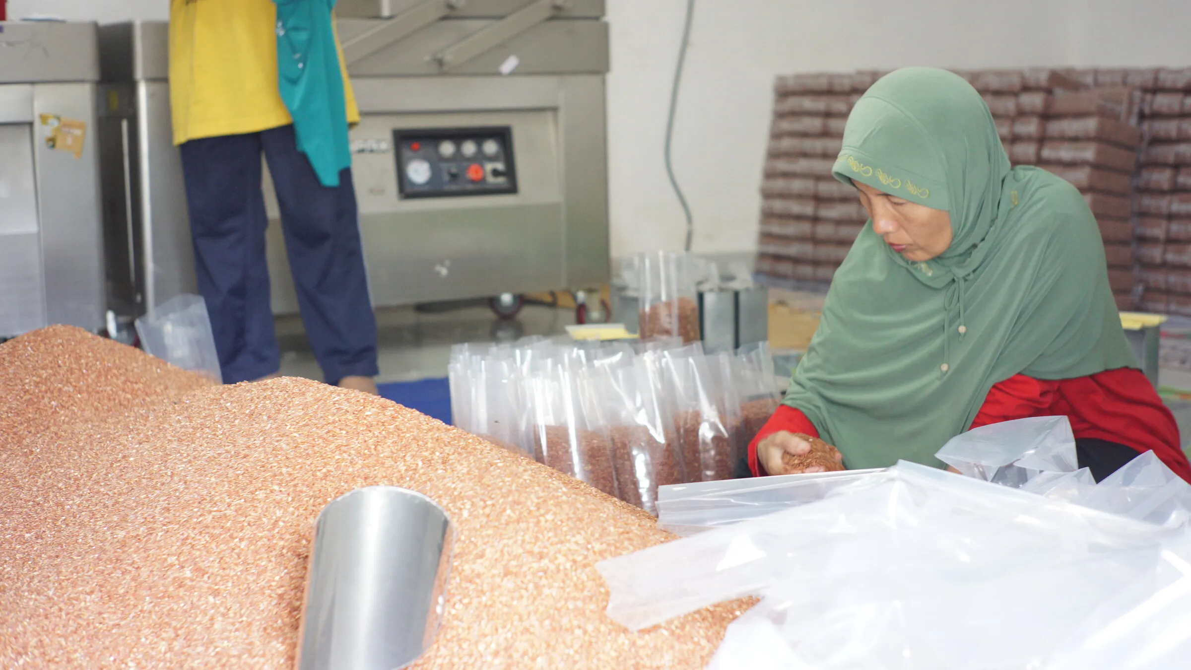 A Sirtanio worker filling plastic packs with red rice beside a vacuum sealing machine, a mound of milled rice in the foreground.