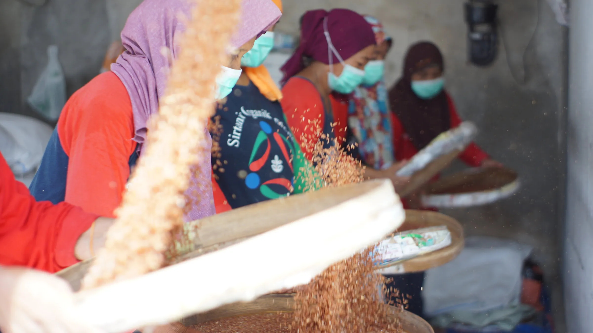 A Sirtanio worker winnowing red rice on a bamboo tray at the company's own mill in Dusun Rumping, grain falling through the air with filled sacks stacked behind her.